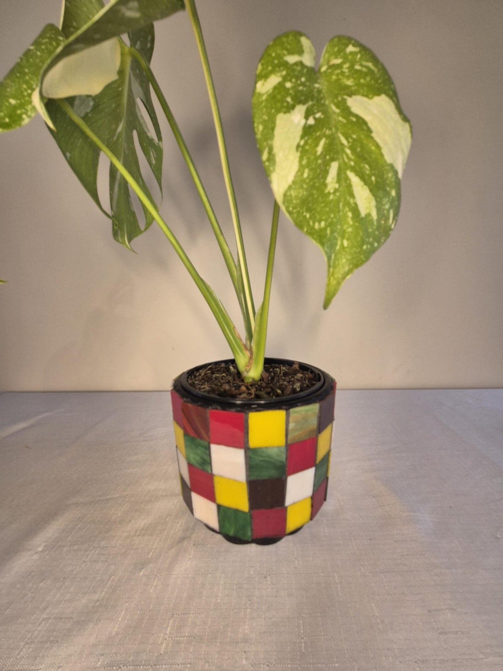 Retro plant pot