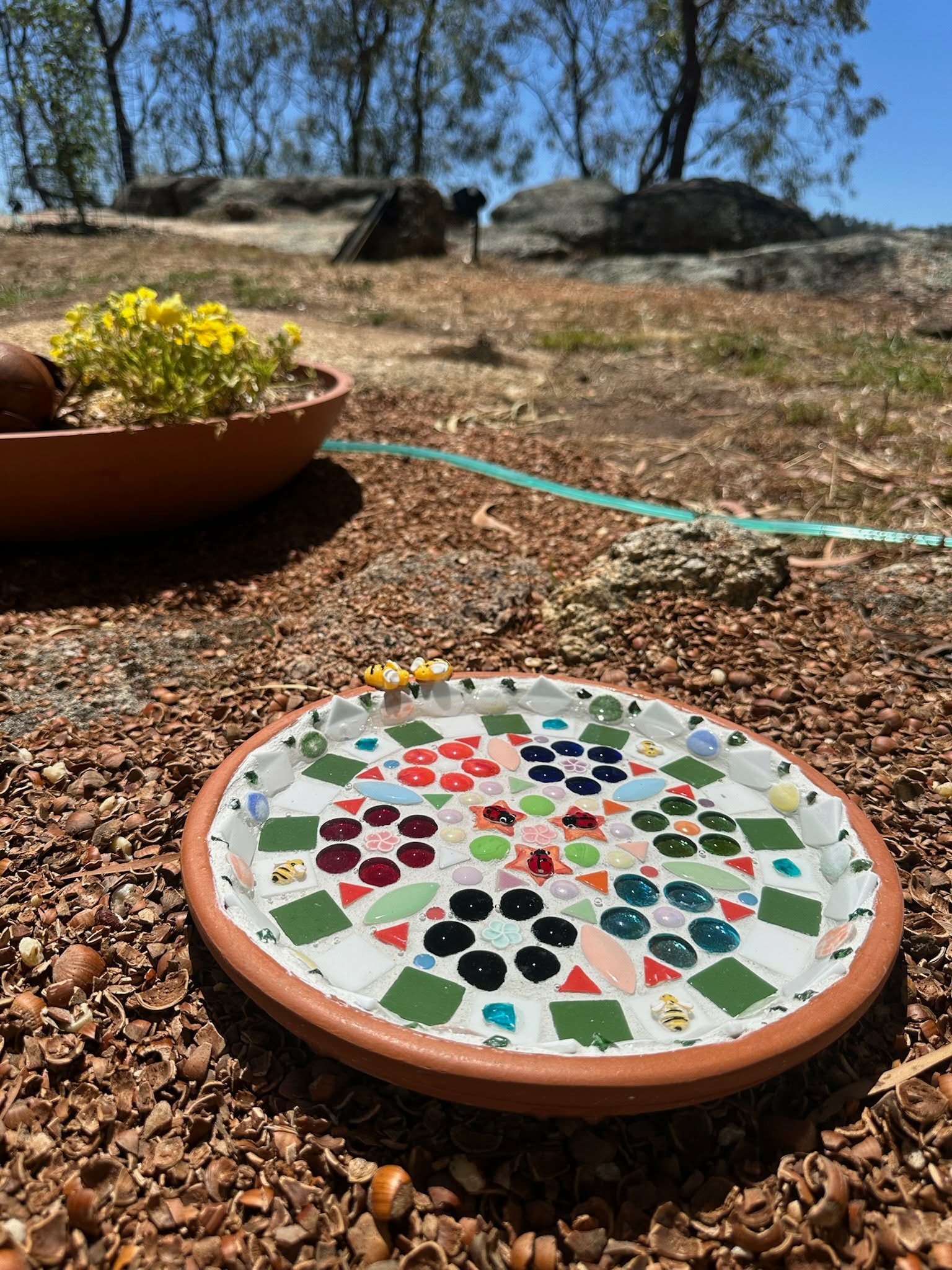 Bee Bath Sunday 15th March - Image 2