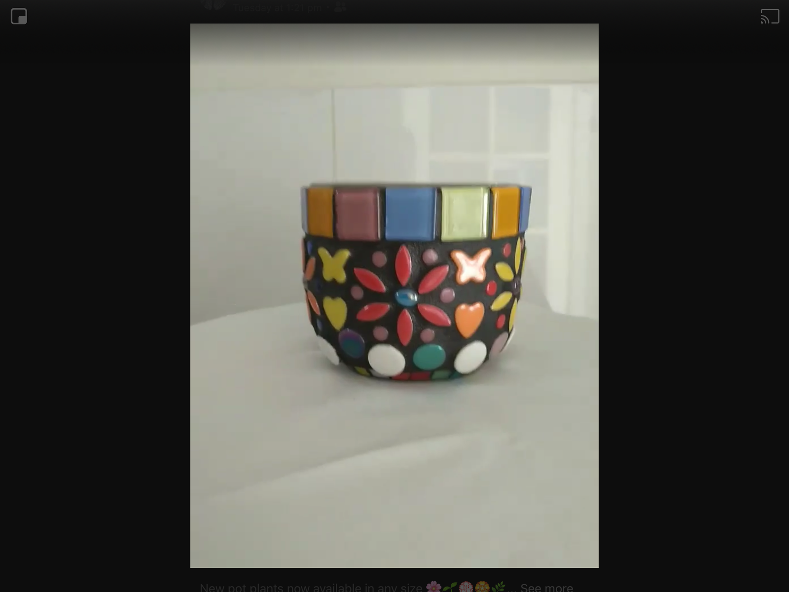 Plant Pot Workshop Sunday 7th June